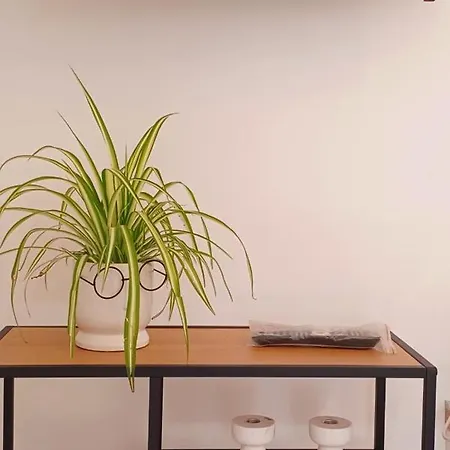 Apartment Amalija *