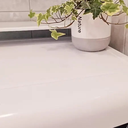 Amalija *