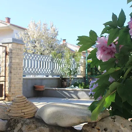Apartment Amalija *