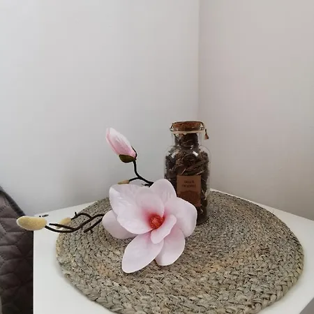 Amalija Pola